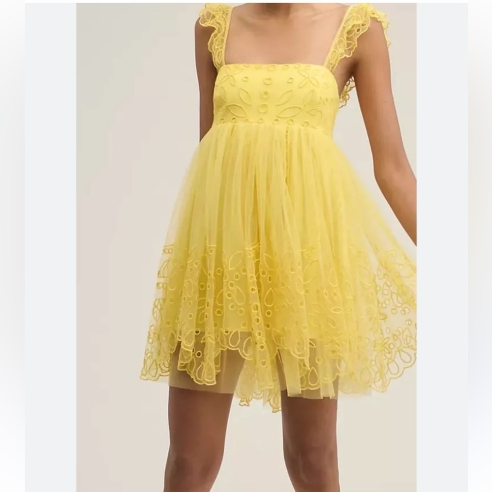 Anthropologie Let Me Be Eyelet Tulle Mini Dress - Picture 2 of 5